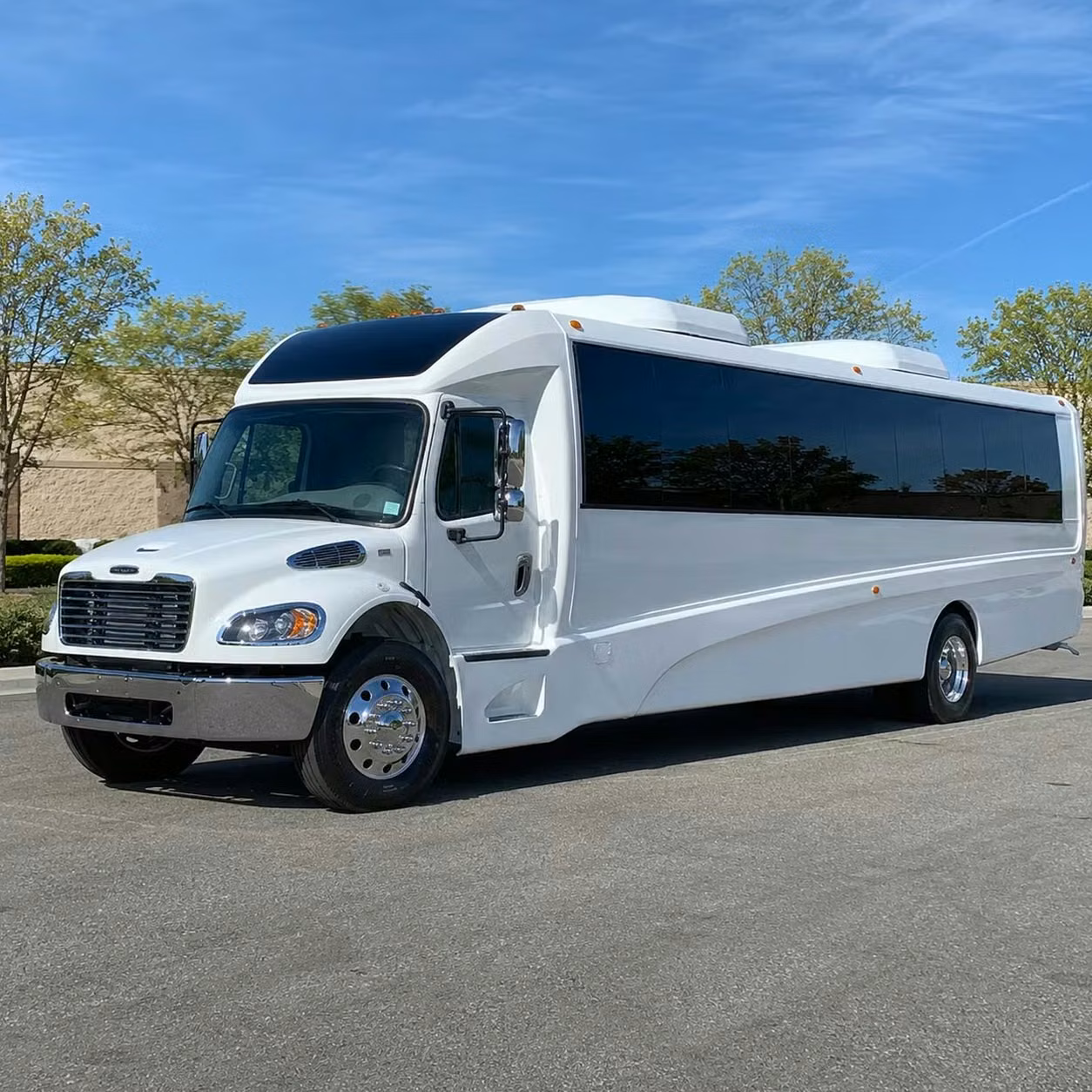 dunedin 28 passenger minibus rental
