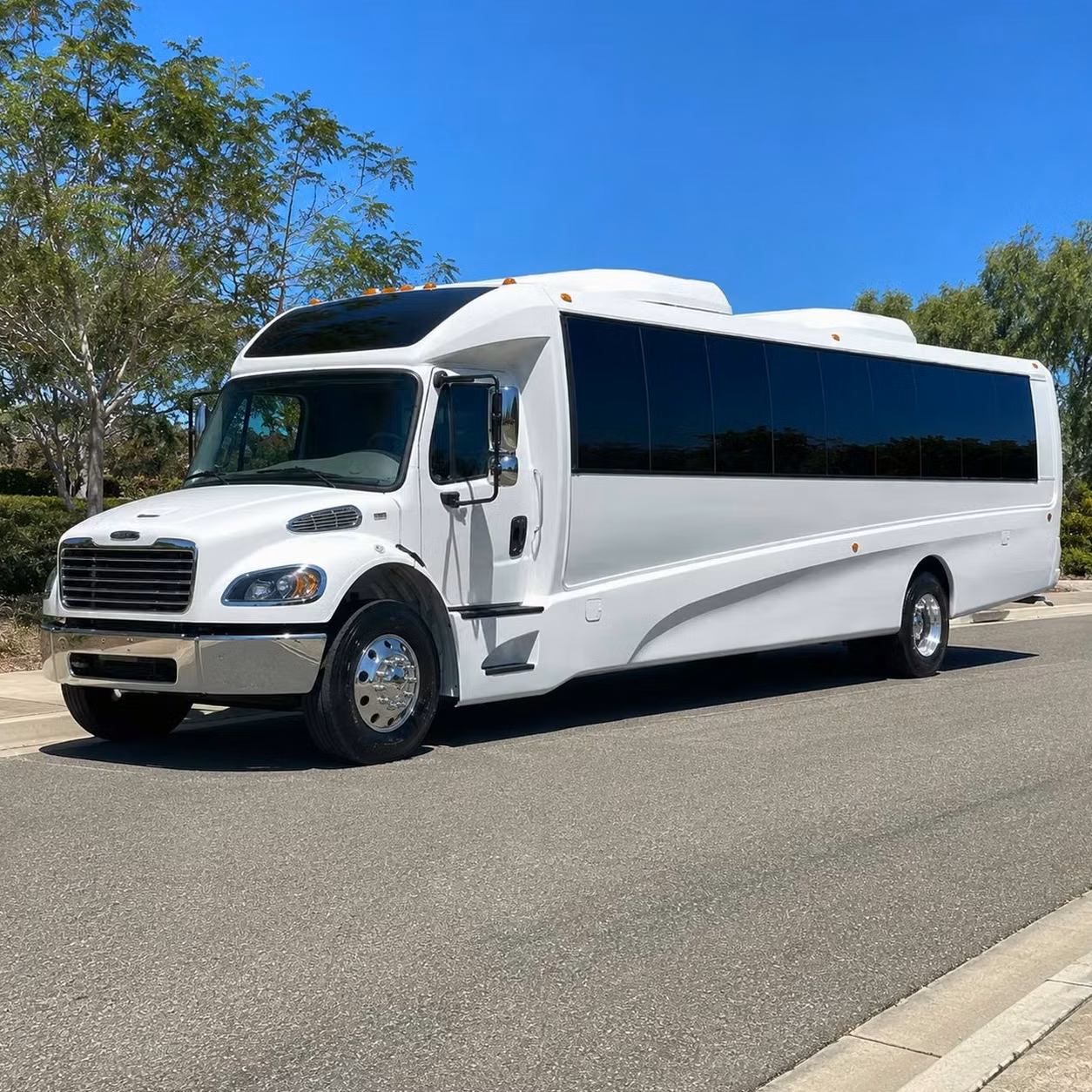 dunedin 35 passenger minibus rental