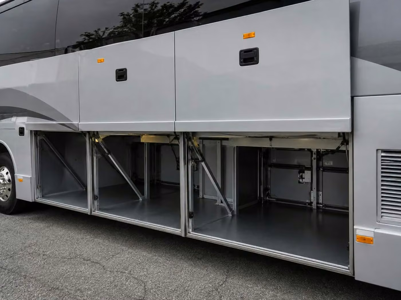 dunedin 56 passenger charter bus luggage bays