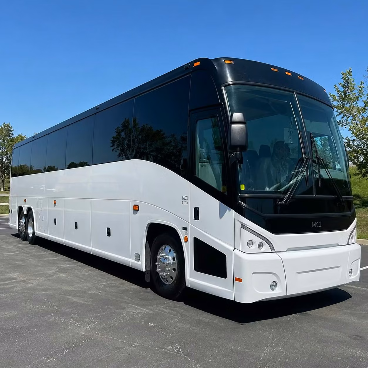 dunedin airport transfers for business trips to dunedin