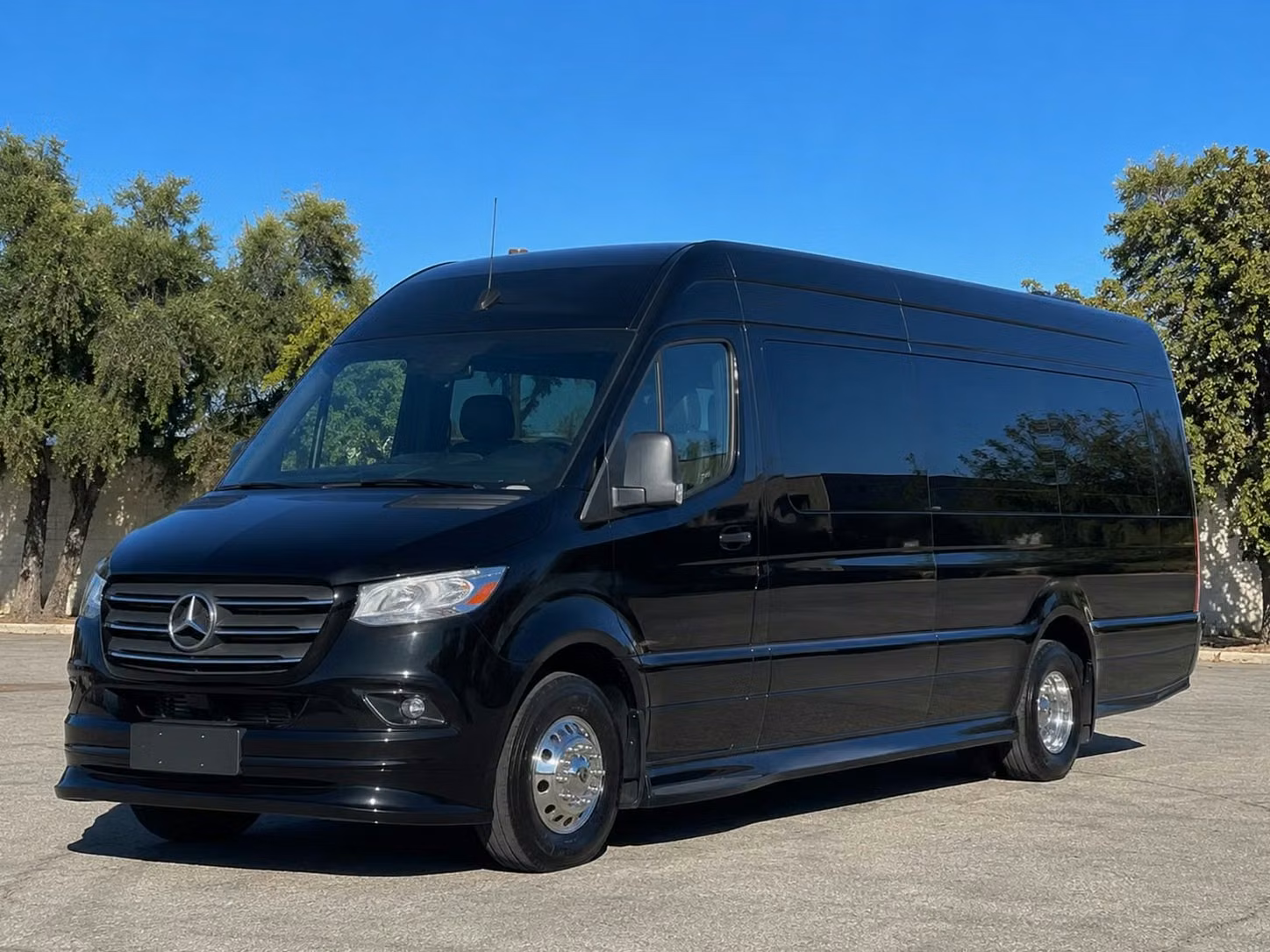 dunedin bus rental options for every group size