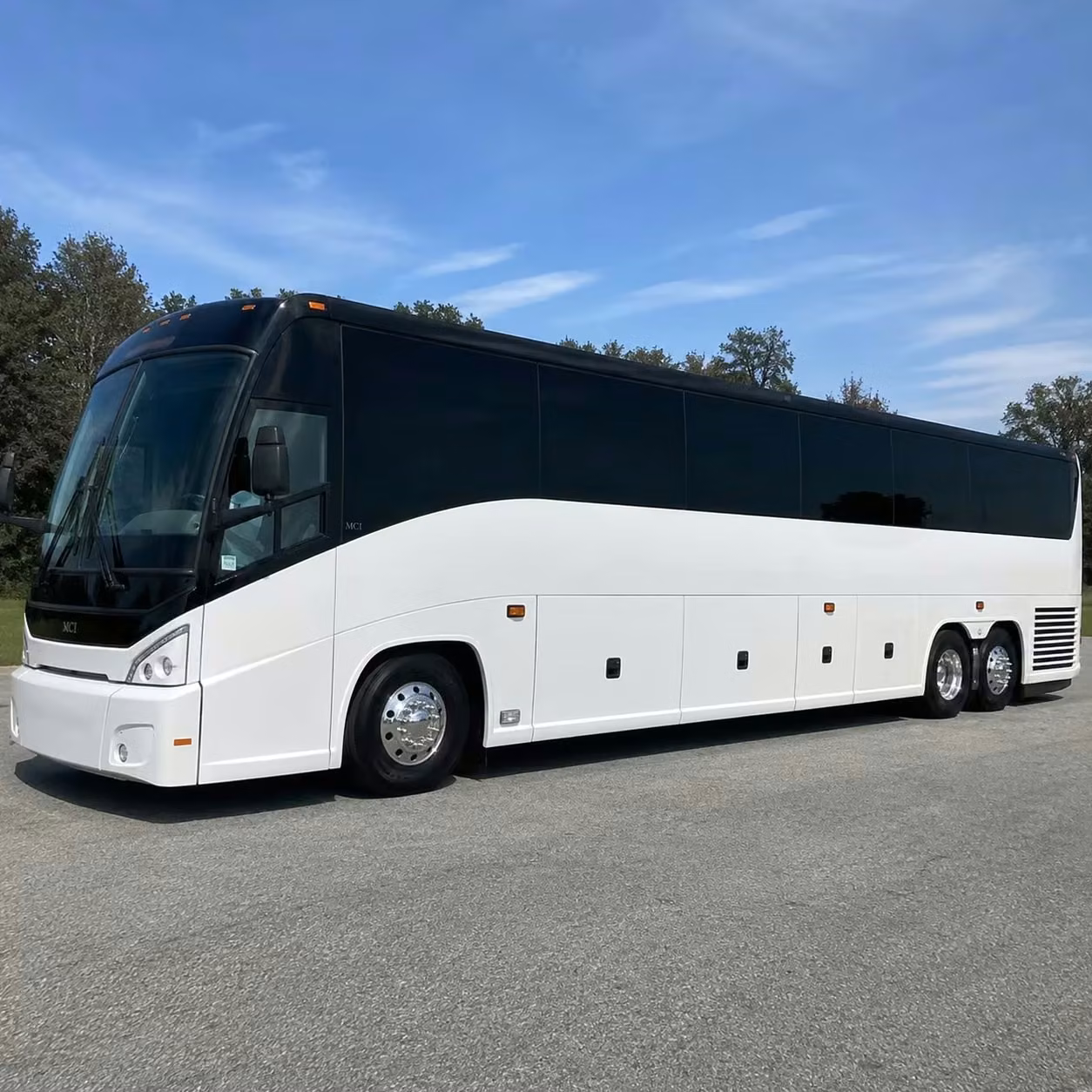 dunedin buses