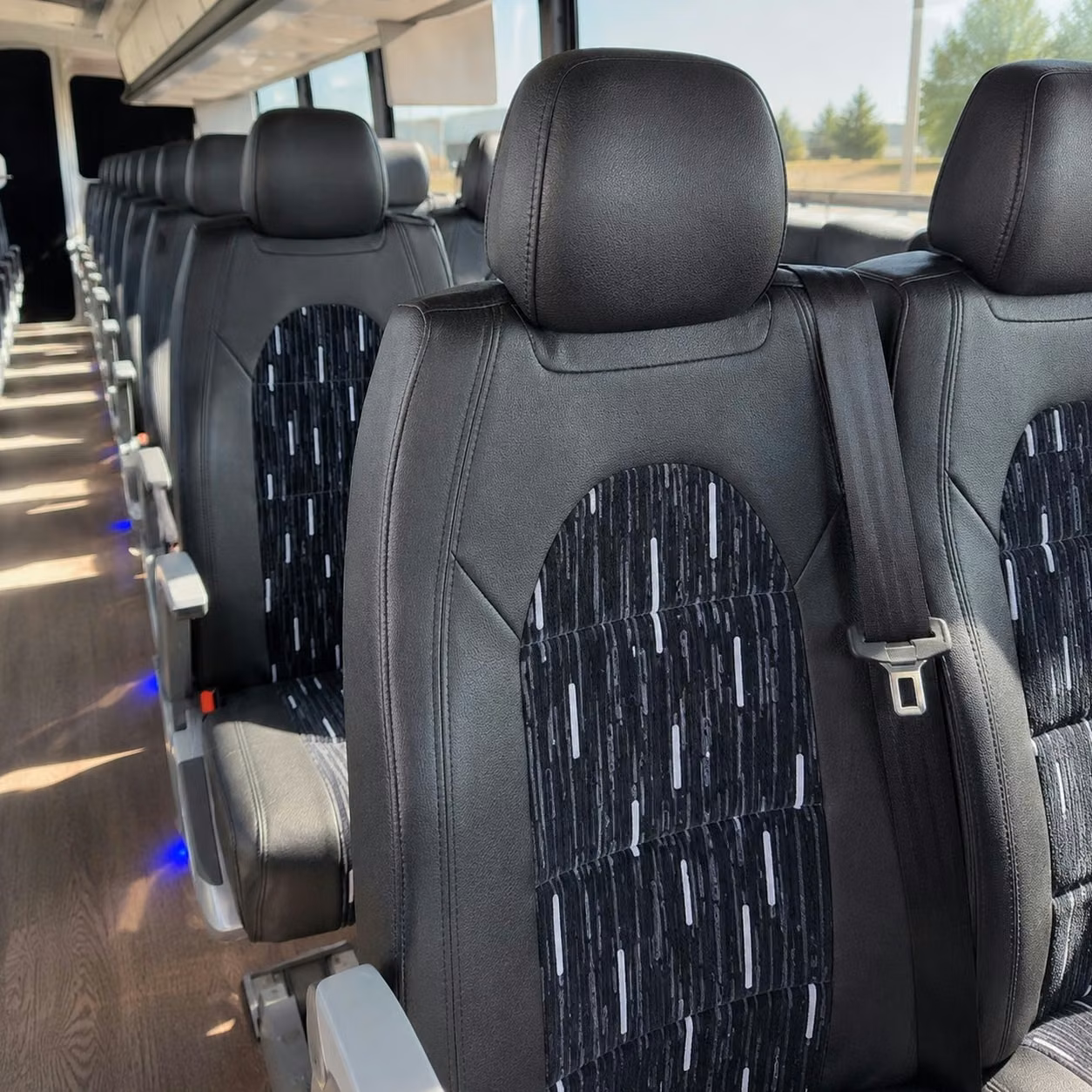 dunedin charter bus interior 3