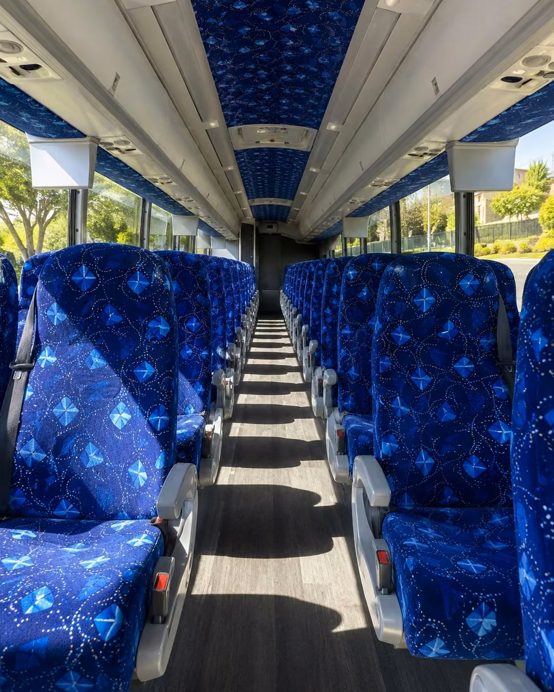 dunedin corporate transportation