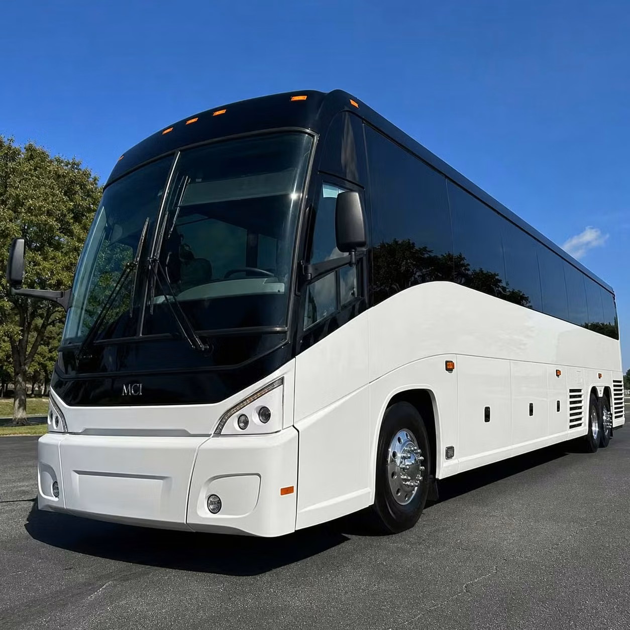 dunedin custom shuttle loops between dunedin hotels bars and venue gates