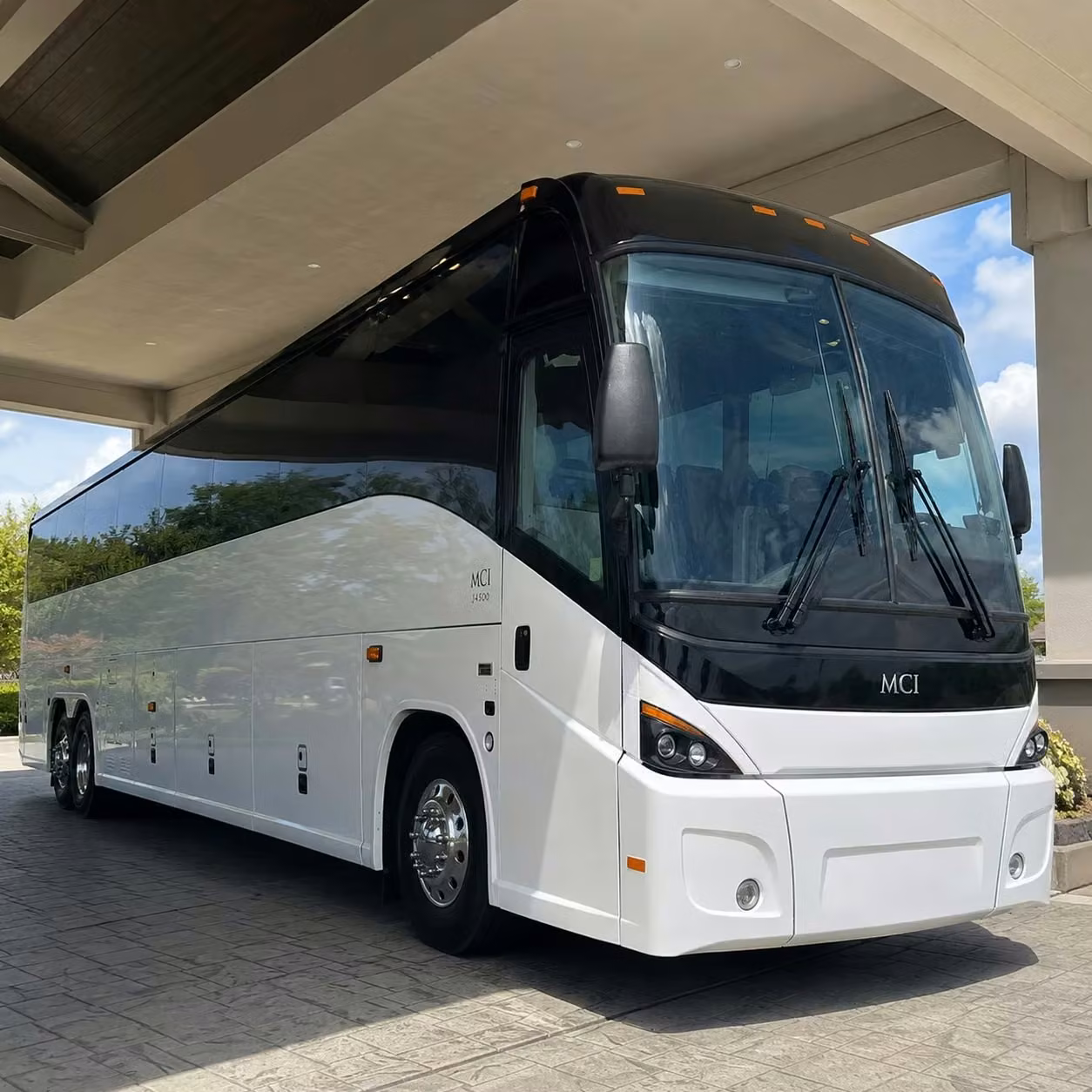 dunedin field trip transportation