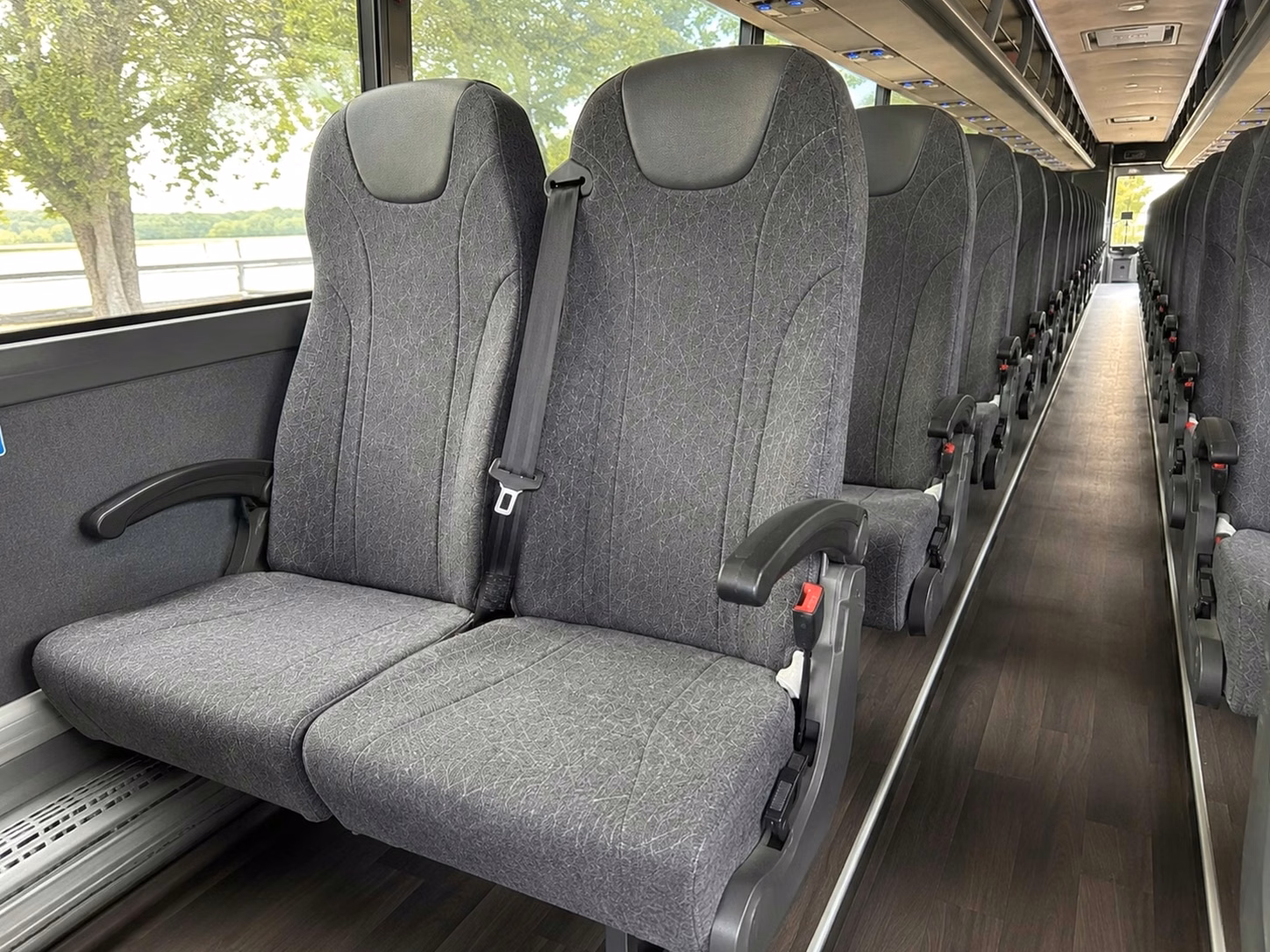 dunedin get dunedin bus rental quotes in 30 seconds