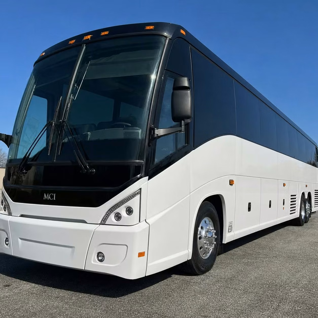 dunedin last minute and pre booked layover bus rentals