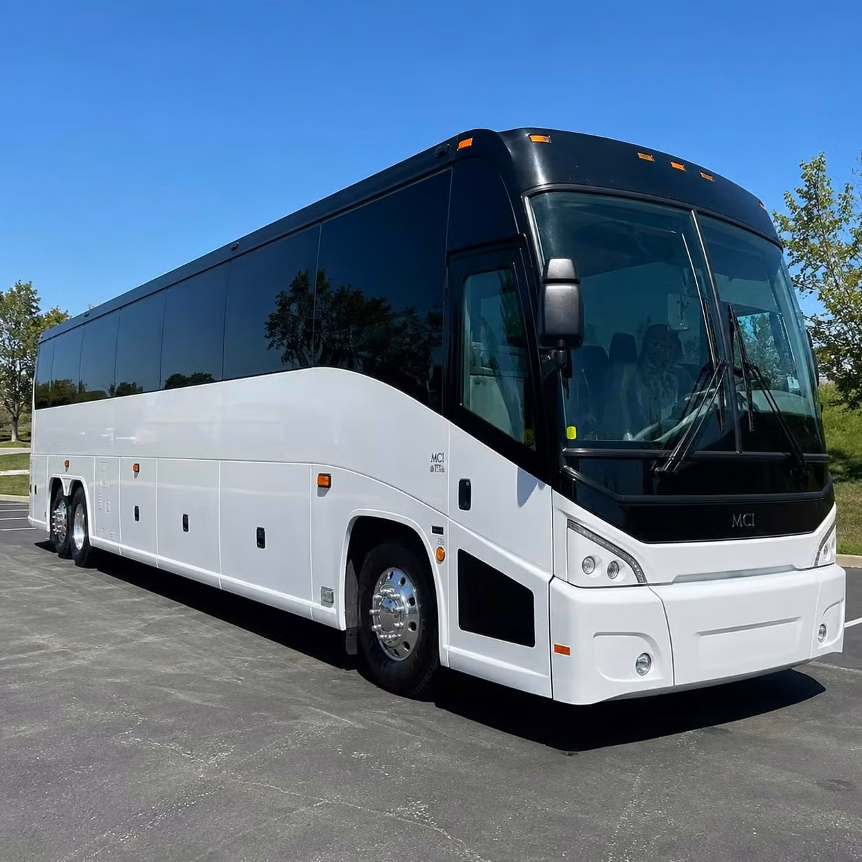 dunedin long distance transportation