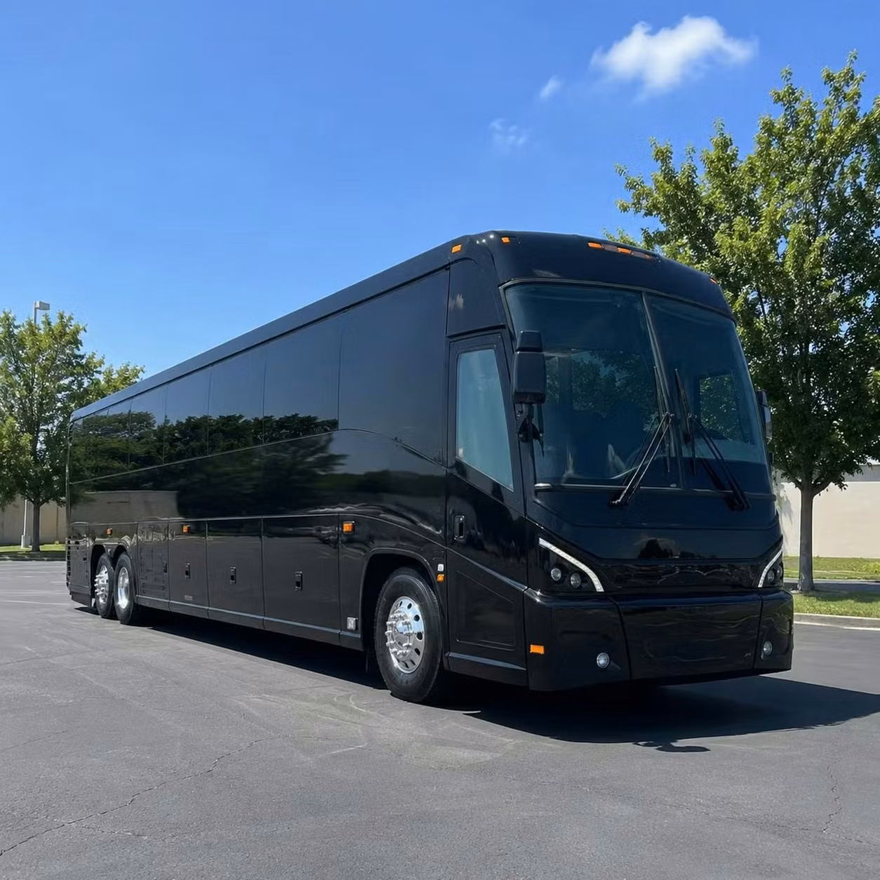 dunedin out of town wedding winery and festival bus rentals from dunedin