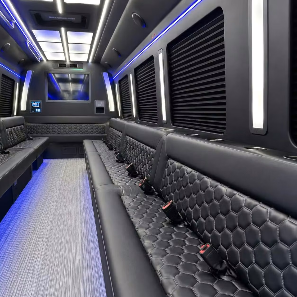 dunedin party bus party lighting