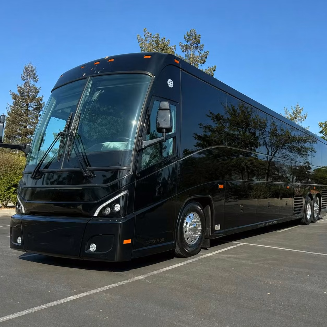 dunedin shuttle bus rentals for churches synagogues and mosques