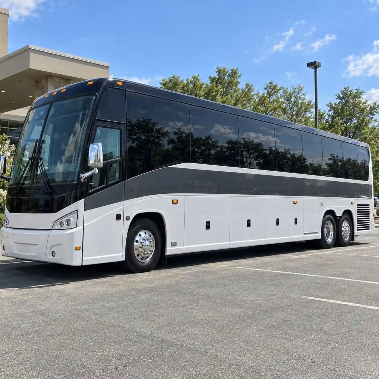 dunedin shuttle bus services to raymond james stadium
