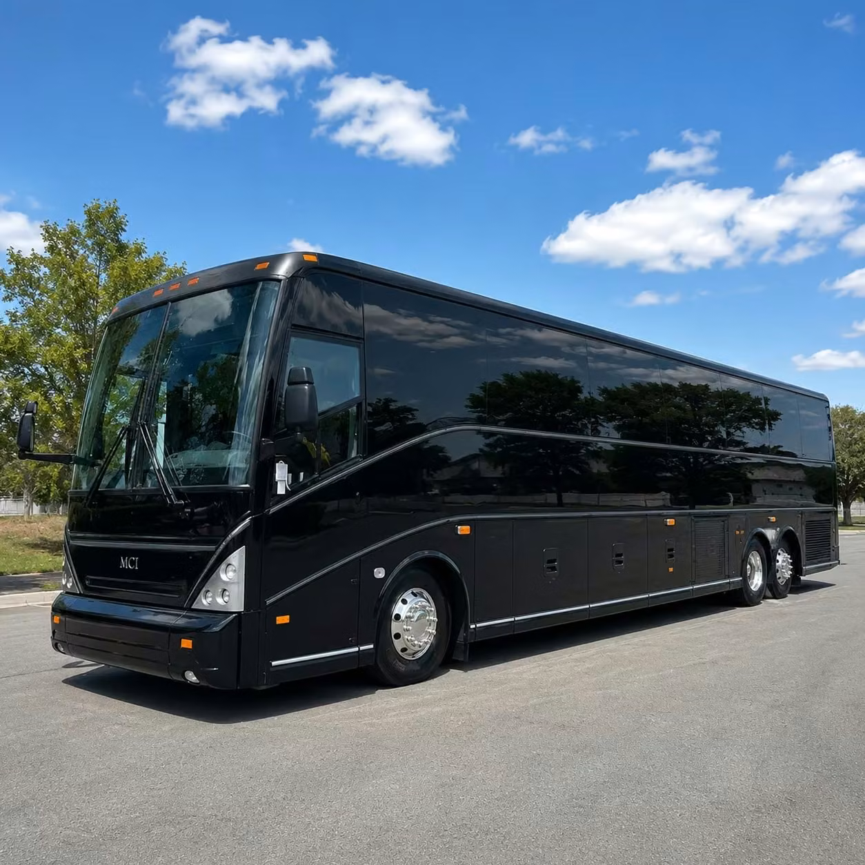 dunedin sporting event transportation