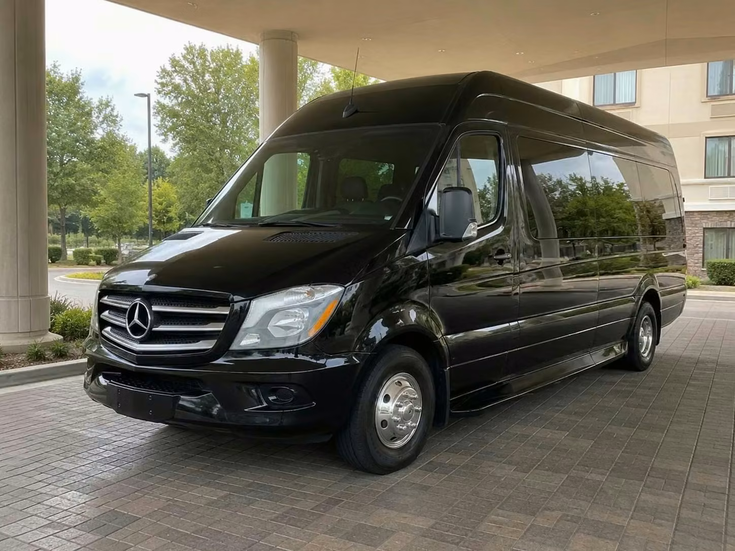 dunedin sprinter van rental with driver tinted windows