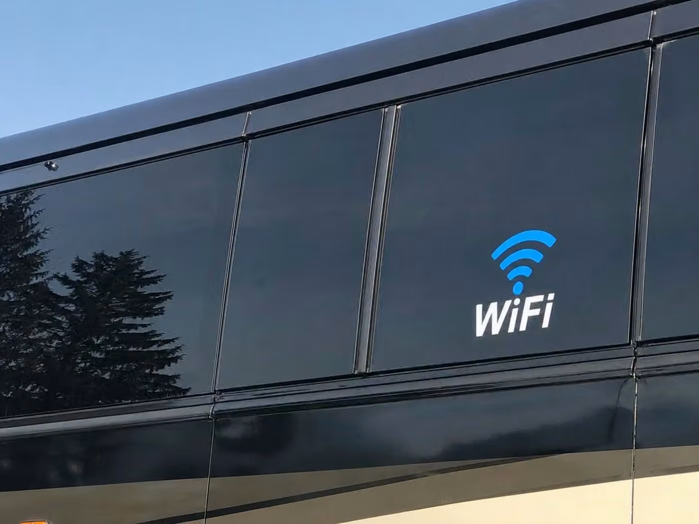 dunedin sprinter van rental with driver wifi
