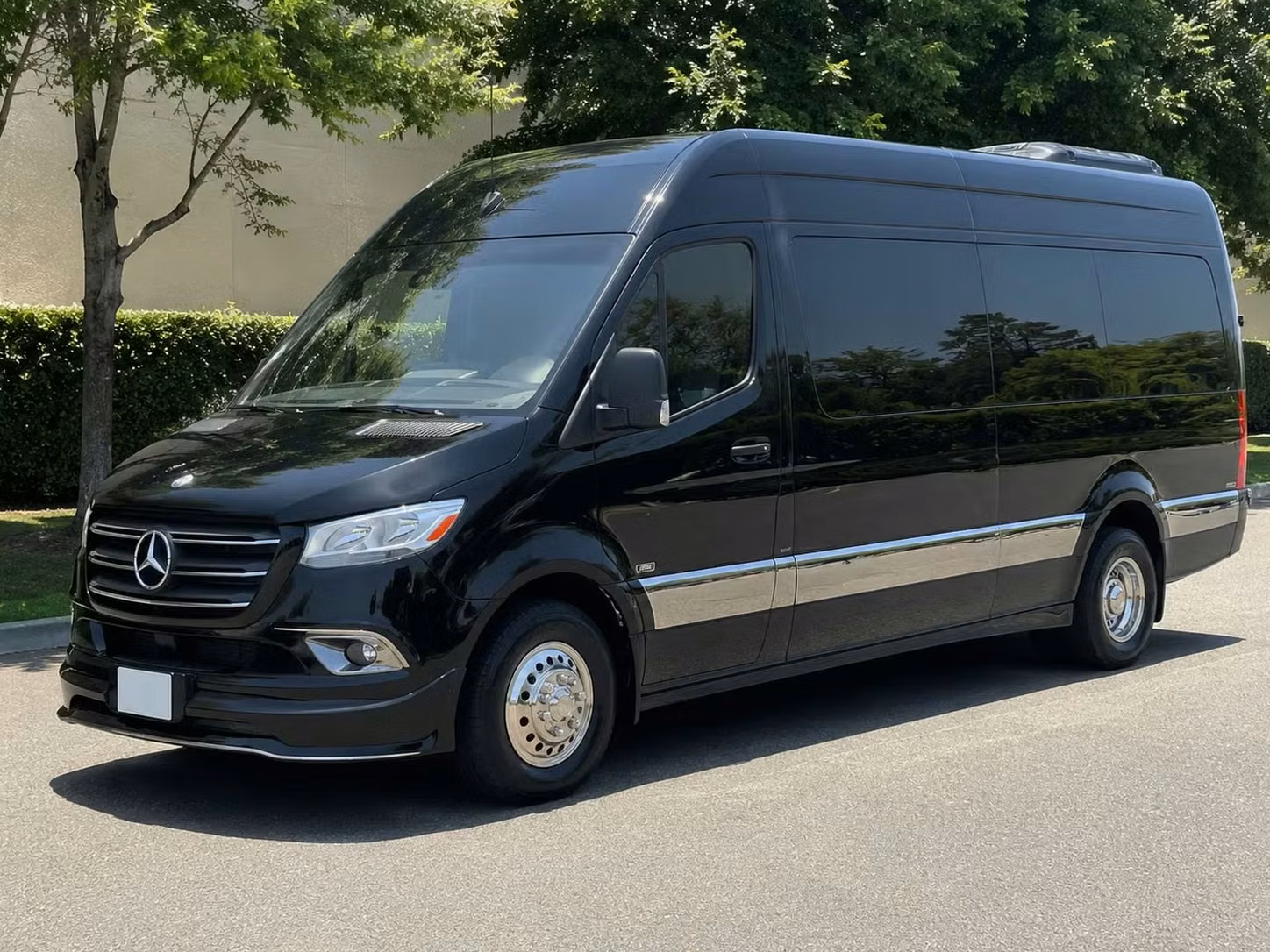 dunedin sprinter van rental with driver