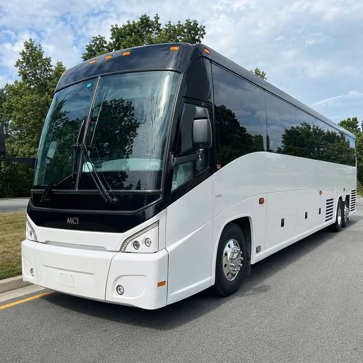 dunedin stress free dunedin concert and music festival transportation