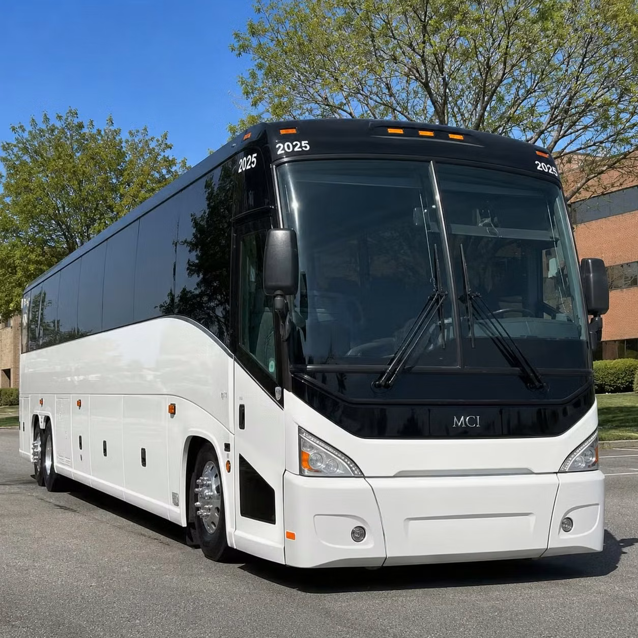 dunedin timely shuttle buses for meetings