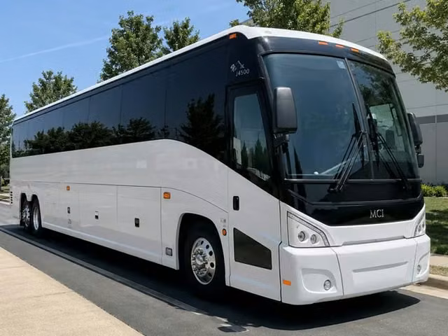dunedin charter buses